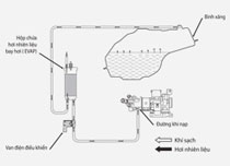 Bảng giá xe máy Honda Wave RS mới hiện nay