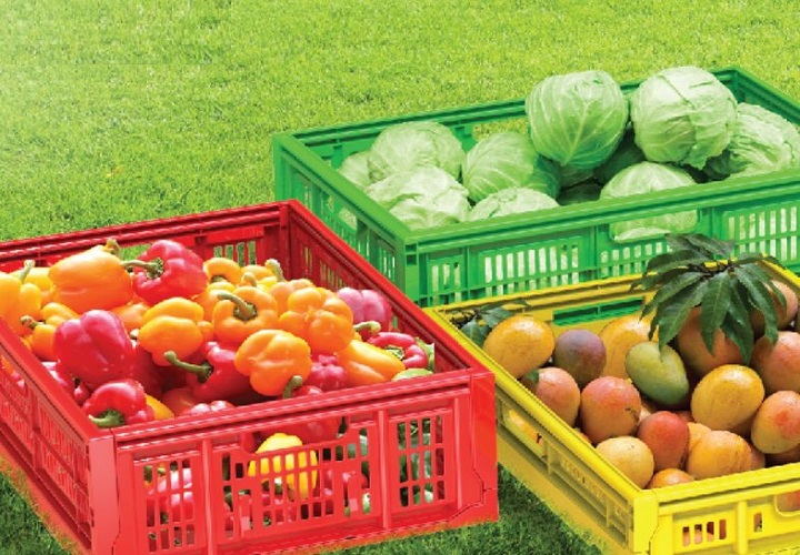 Sóng nhựa đựng trái cây của Nhựa Duy Tân có tốt không?