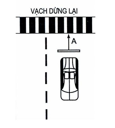 Những bài giảng học lái xe B2 cần lưu ý thuộc học phần thực hành