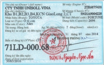 Những bài học khi cầm cà vẹt xe ô tô - Chơi Xe