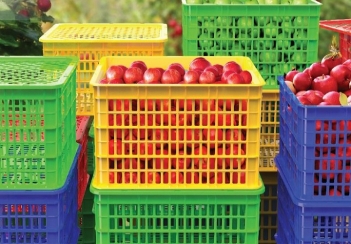 Sóng nhựa đựng trái cây của Nhựa Duy Tân có tốt không? - Chơi Xe